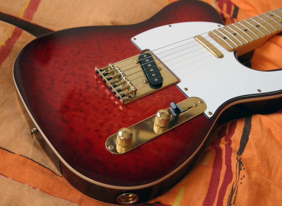 Sold Guitars / Fenix TC-20 R
