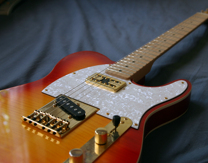 Sold Guitars / Jay Turser DLX Custom Tele